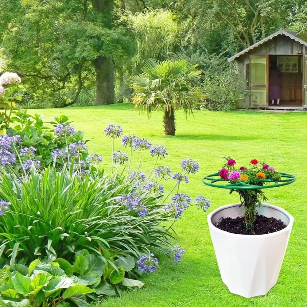 Bonsai Garden Stand - Новая многоярусная подставка для бонсай S/M/L,