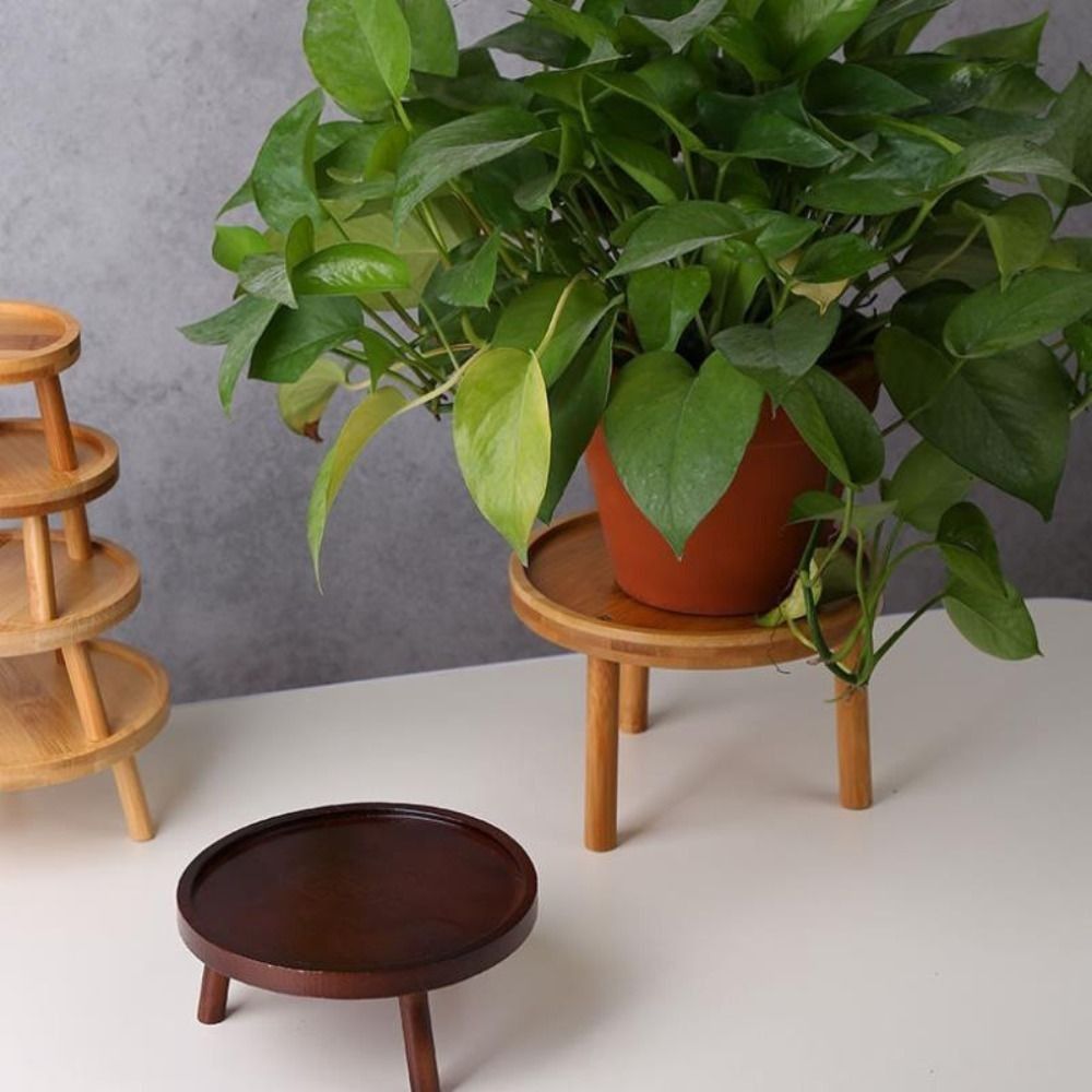 Bonsai Garden Stand - Креативная подставка для суккулентов и цветов,
