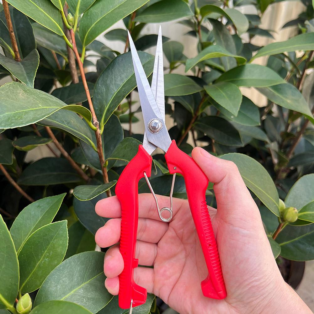 Bonsai Garden Tools - Профессиональные садовые секаторы Pro Garden: удлиненные
