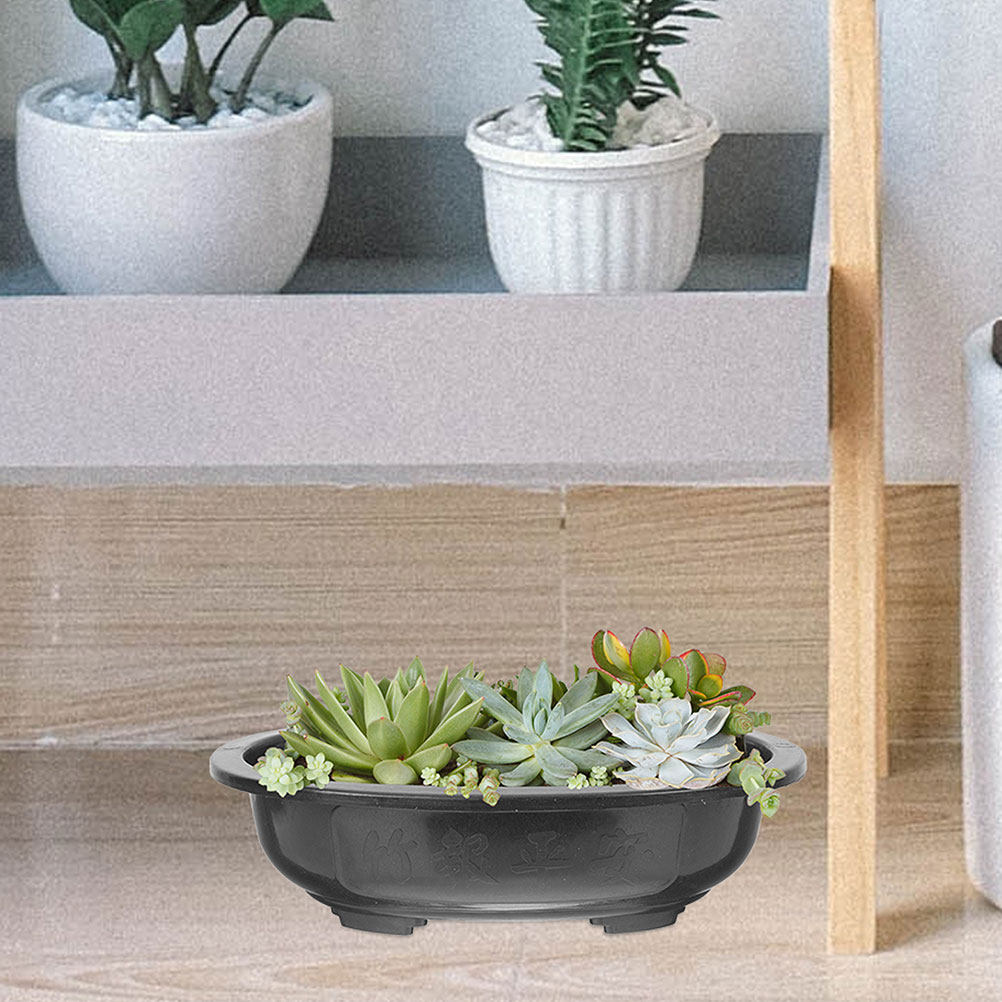 Набор из 3 очень больших оваль – обзор и цена Bonsai Garden Nursery