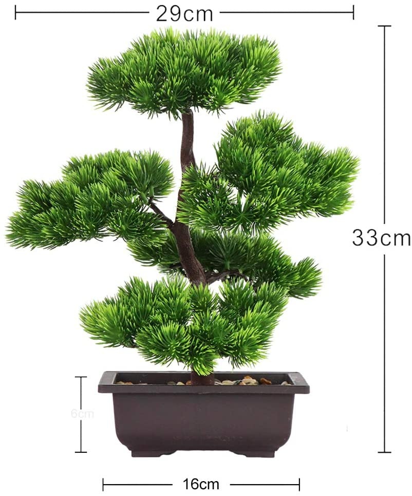 Японский бонсай из сосны для у – обзор и цена Bonsai Garden Kit