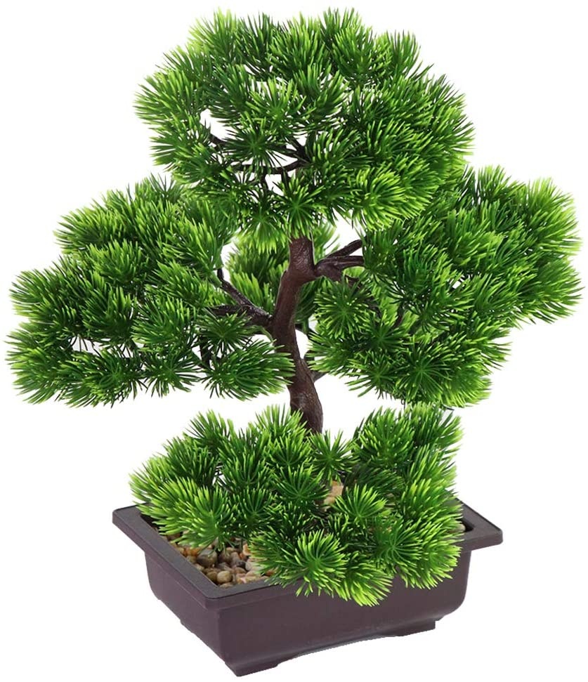 Японский бонсай из сосны для у – обзор и цена Bonsai Garden Kit