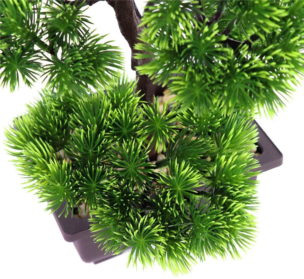 Японский бонсай из сосны для у – обзор и цена Bonsai Garden Kit