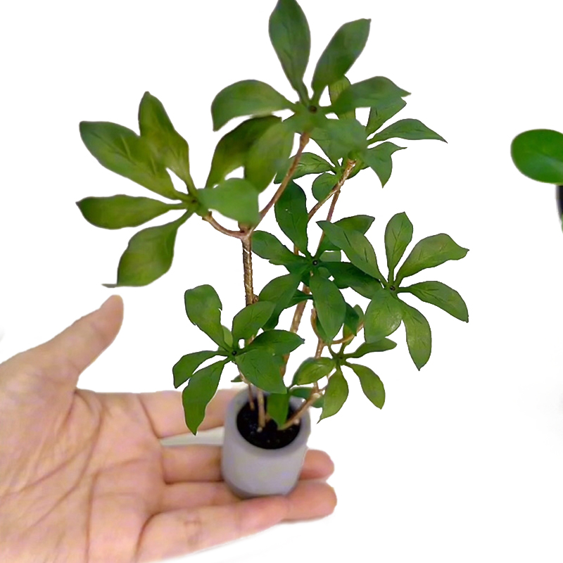 1:6 миниатюрный кукольный доми – обзор и цена Bonsai Garden House