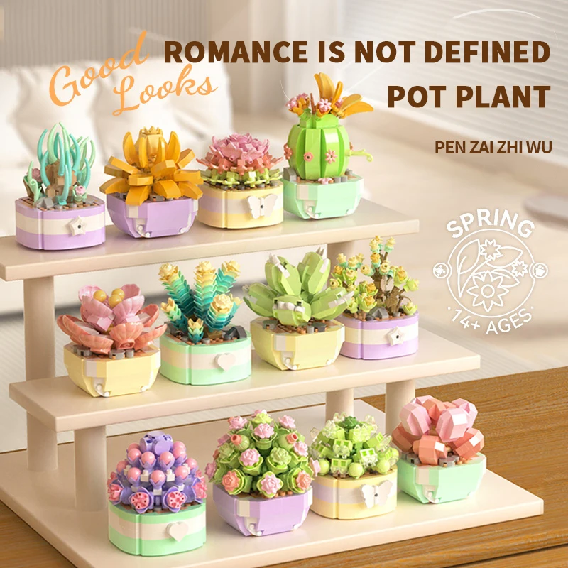 Цветочные суккуленты, строител – обзор и цена Bonsai Garden Kit