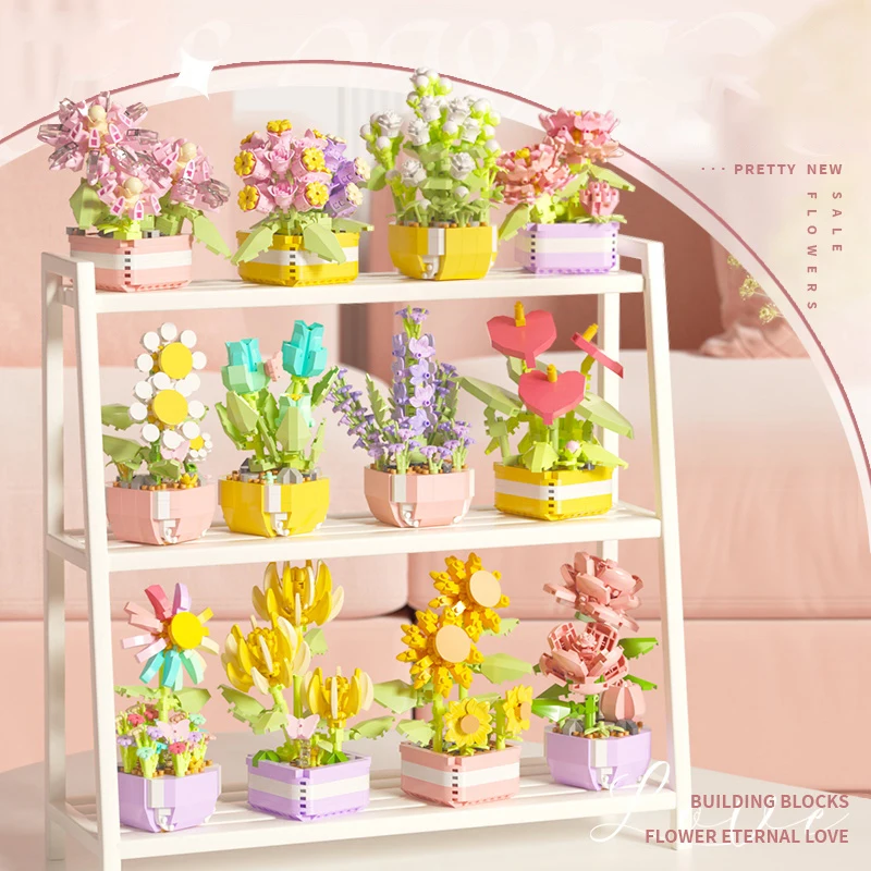 Цветочные суккуленты, строител – обзор и цена Bonsai Garden Kit