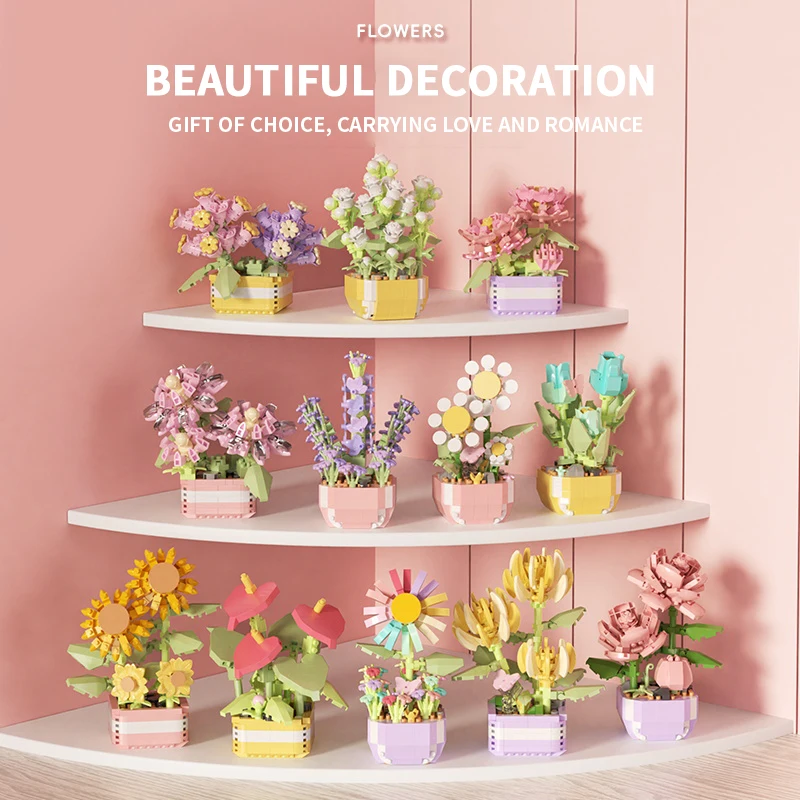 Цветочные суккуленты, строител – обзор и цена Bonsai Garden Kit