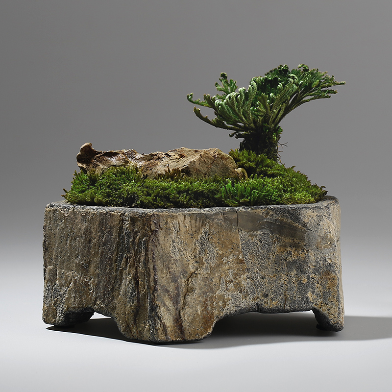 Базальтовый цветочный горшок и – обзор и цена Bonsai Garden Chinese Garden