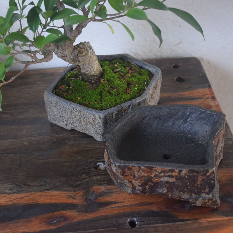 Базальтовый цветочный горшок и – обзор и цена Bonsai Garden Chinese Garden
