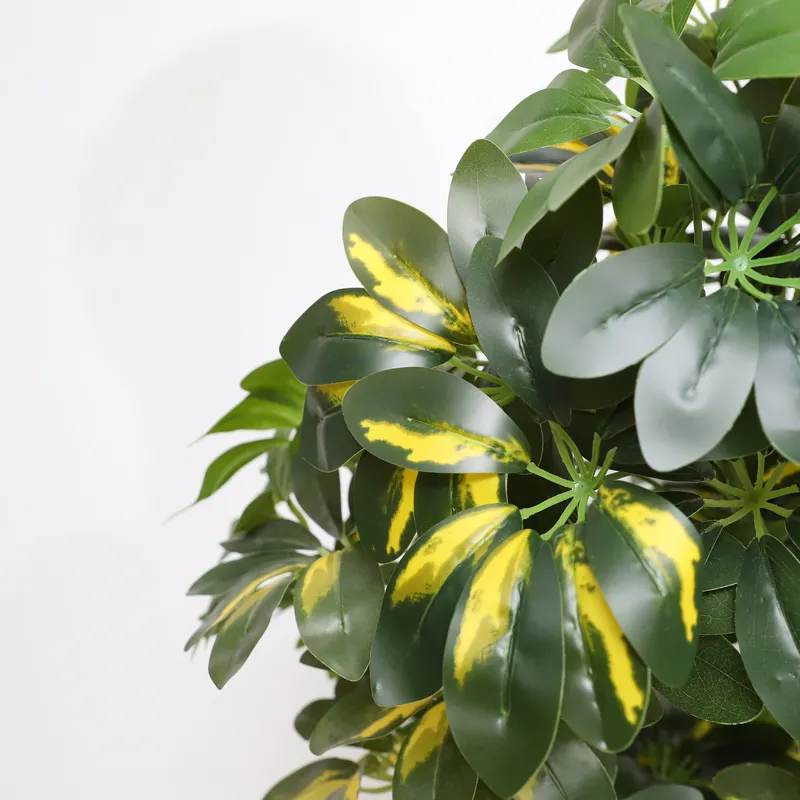 Оптовая цена от производителя: – обзор и цена Bonsai Garden Price