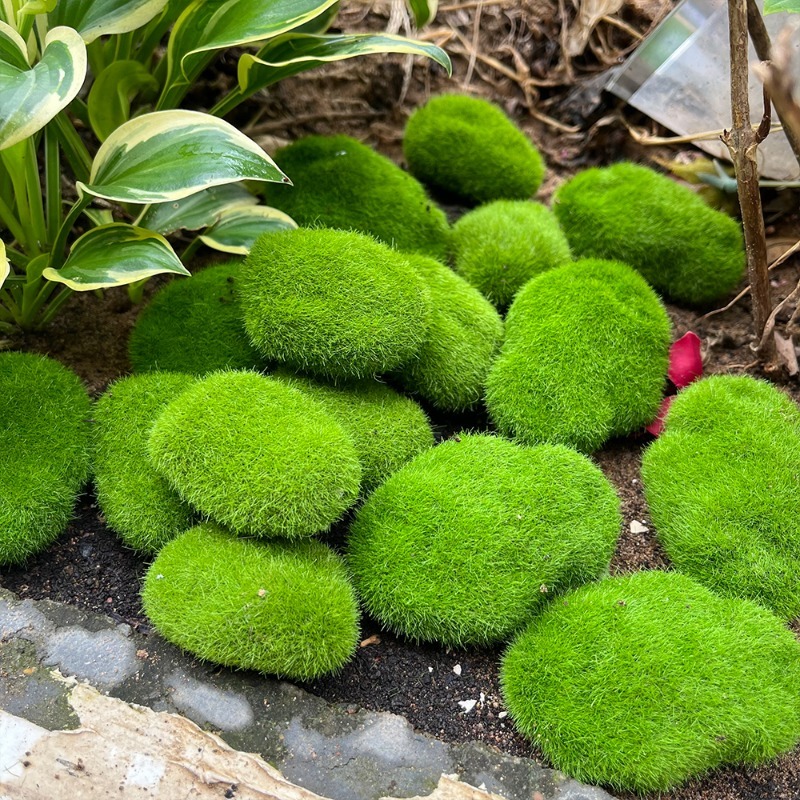 5/30 шт. Искусственные камни-м – обзор и цена Bonsai Rock Garden