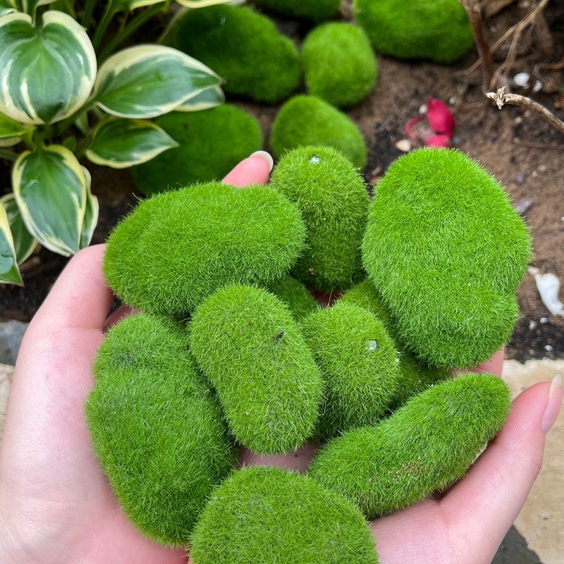 5/30 шт. Искусственные камни-м – обзор и цена Bonsai Rock Garden