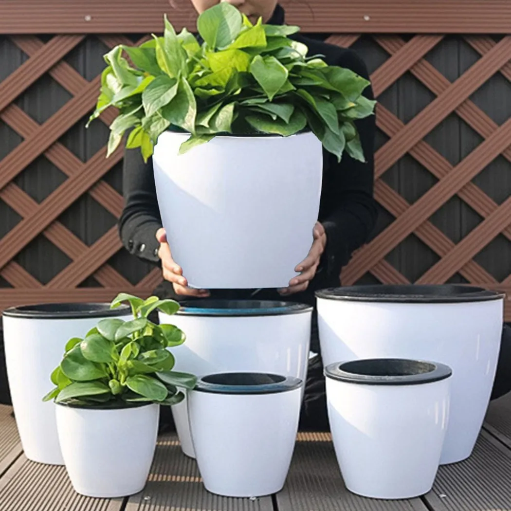 Ленивый цветочный горшок, само – обзор и цена Bonsai Garden Nursery