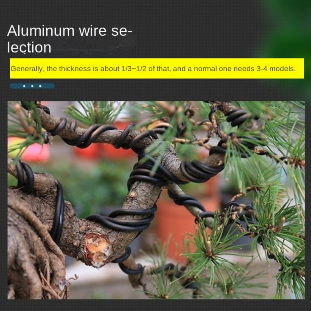 Алюминиевая проволока для бонс – обзор и цена Bonsai Garden Tools