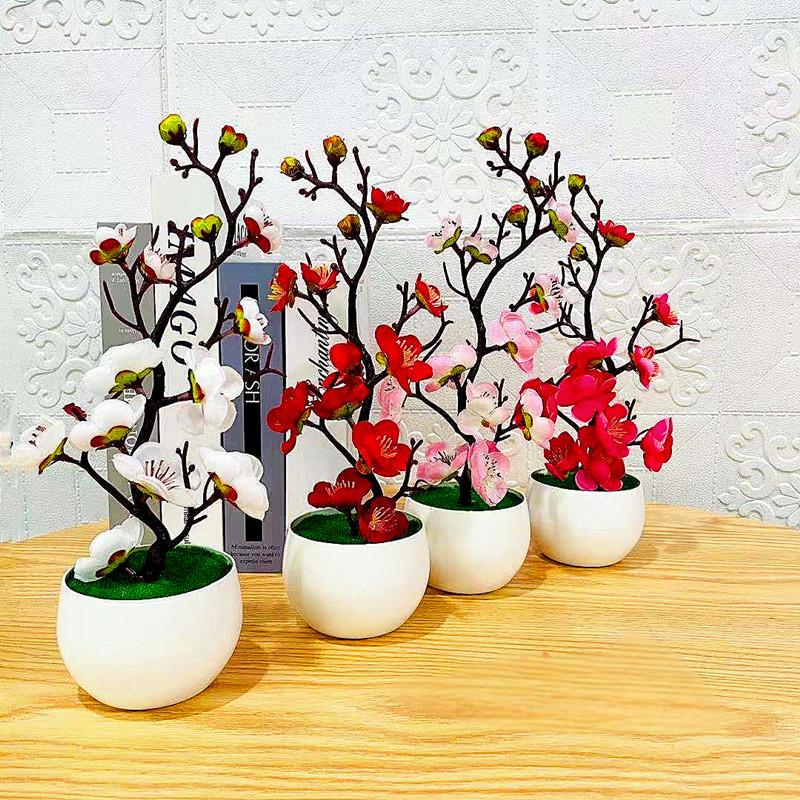 Имитация сливового цветочного  – обзор и цена Bonsai Garden Kit