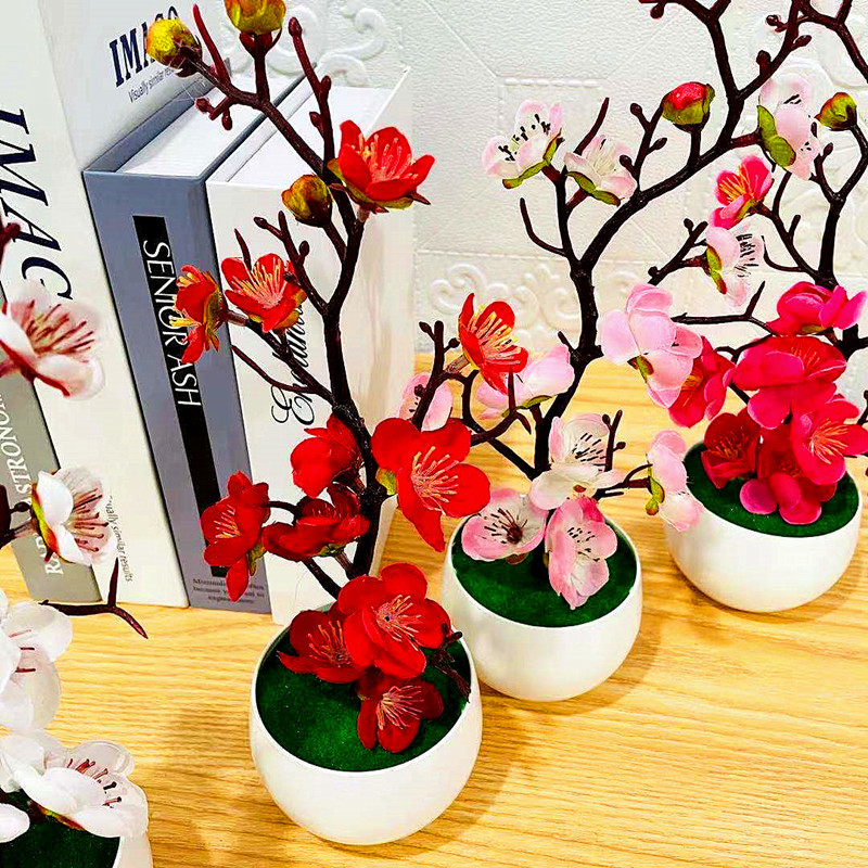 Имитация сливового цветочного  – обзор и цена Bonsai Garden Kit
