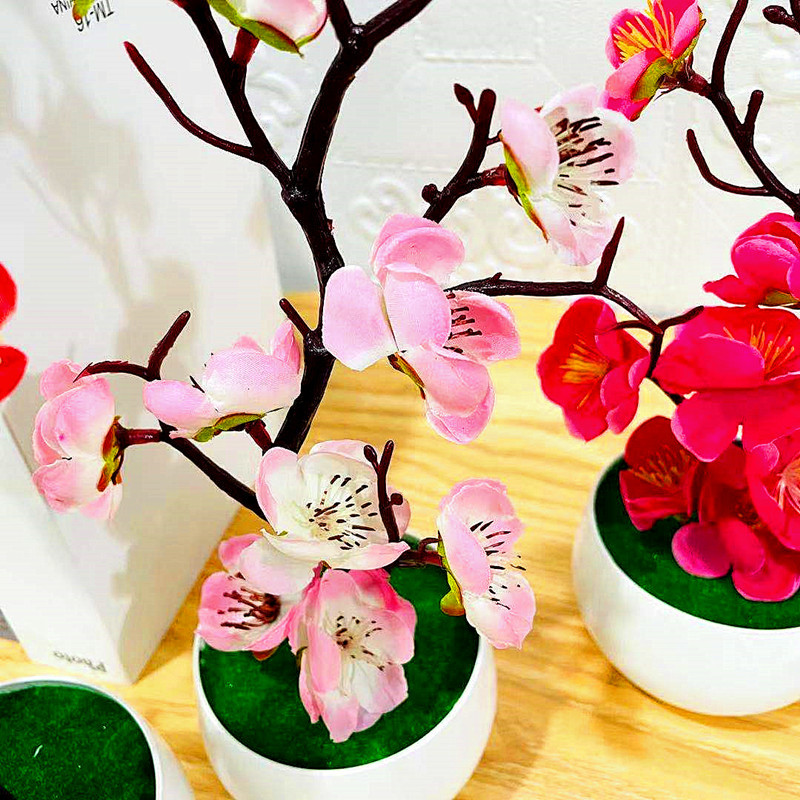 Имитация сливового цветочного  – обзор и цена Bonsai Garden Kit