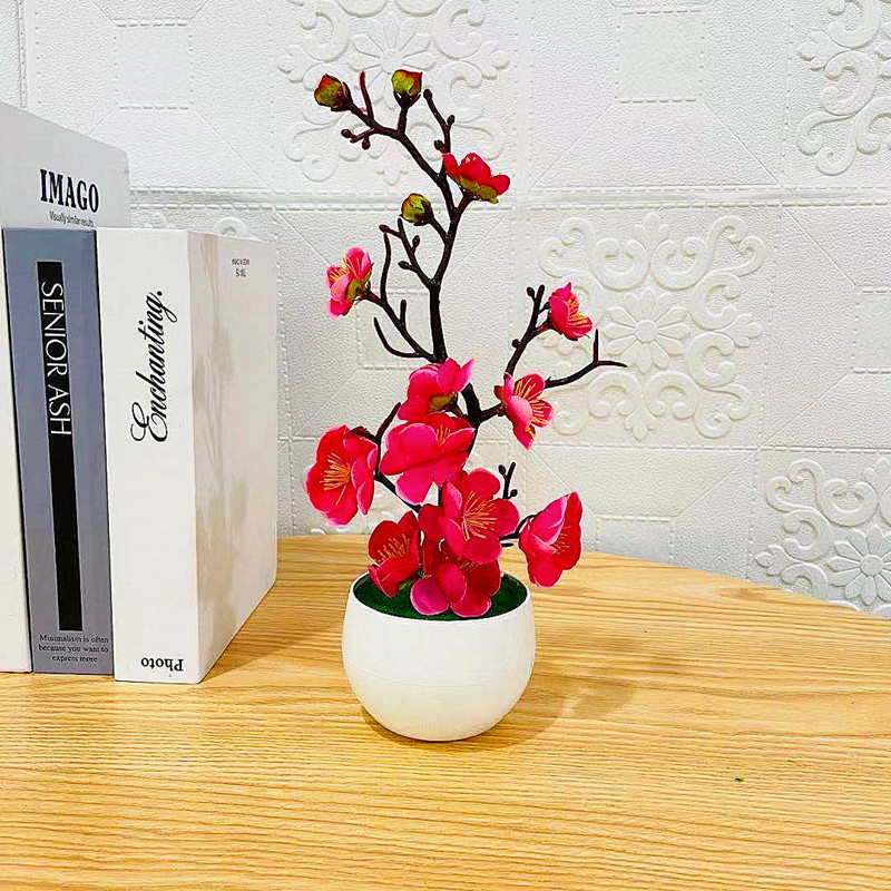 Имитация сливового цветочного  – обзор и цена Bonsai Garden Kit