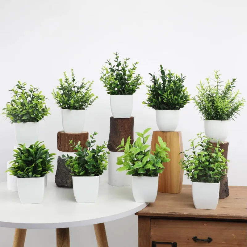 Оптовая продажа OEM/ODM искусс – обзор и цена Bonsai Garden Kit