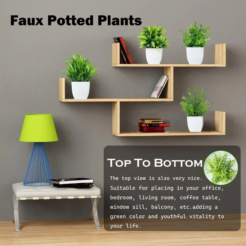 Оптовая продажа OEM/ODM искусс – обзор и цена Bonsai Garden Kit
