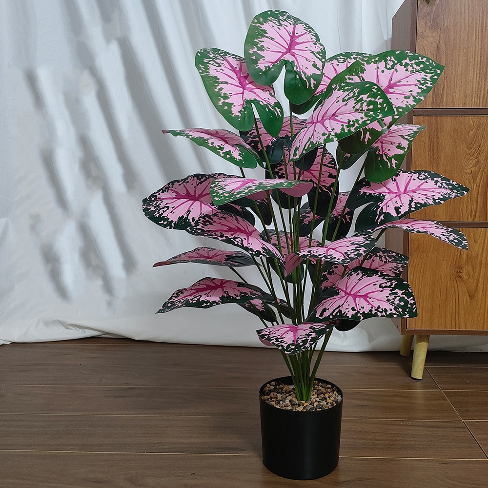 Розовые листья, горшечные раст – обзор и цена Bonsai Garden Kit