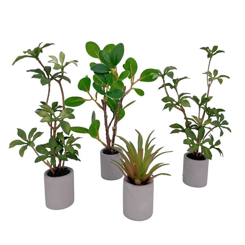 1:6 кукольный домик, миниатюрн – обзор и цена Bonsai Garden Kit