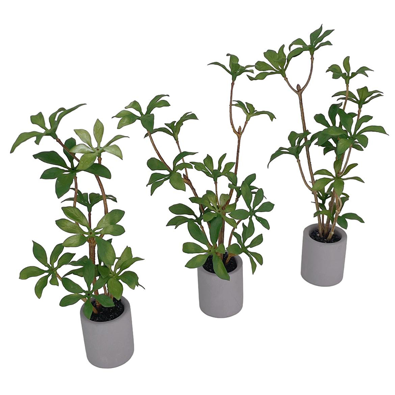 1:6 кукольный домик, миниатюрн – обзор и цена Bonsai Garden Kit
