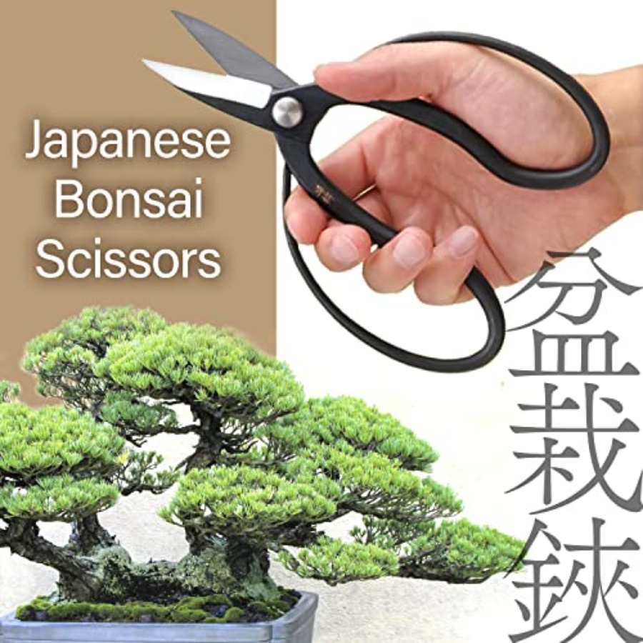 Японские ножницы для бонсай Su – обзор и цена Japan Bonsai Garden