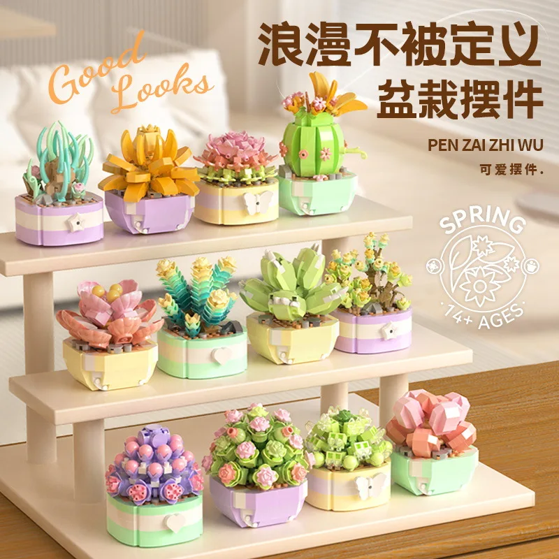 Цветочные суккуленты, строител – обзор и цена Bonsai Garden Kit