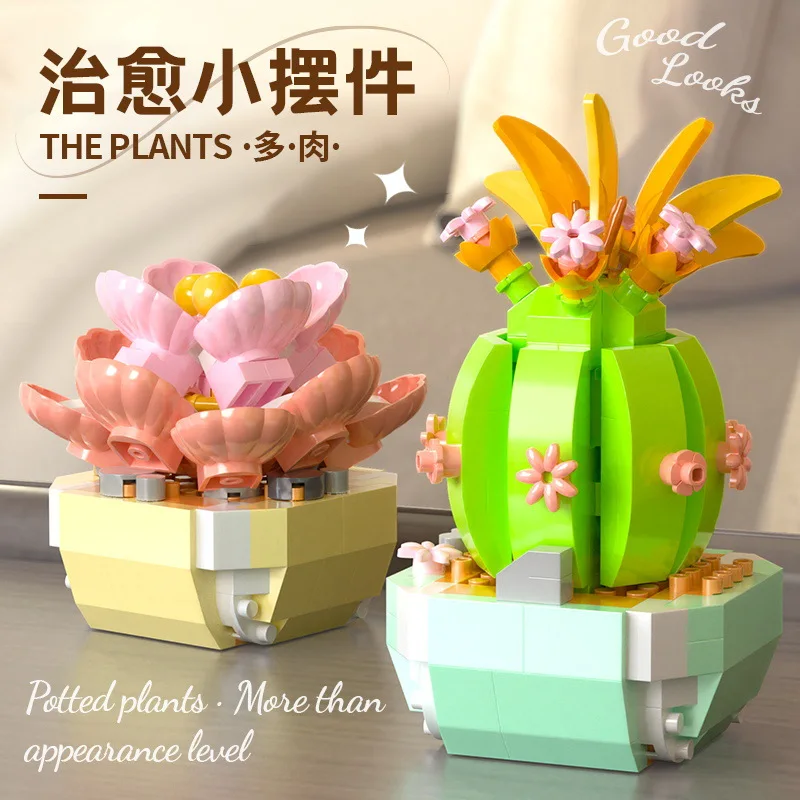 Цветочные суккуленты, строител – обзор и цена Bonsai Garden Kit