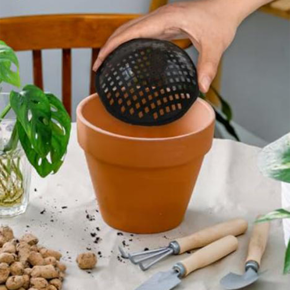 20/30 шт. сетчатые подкладки д – обзор и цена Bonsai Garden Kit