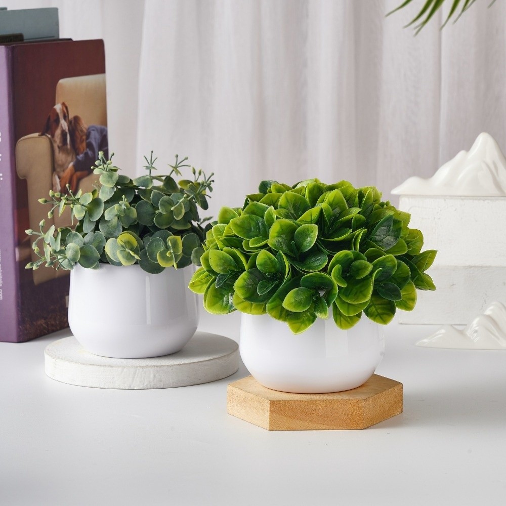 Искусственное растение Бонсай  – обзор и цена Bonsai Garden Kit