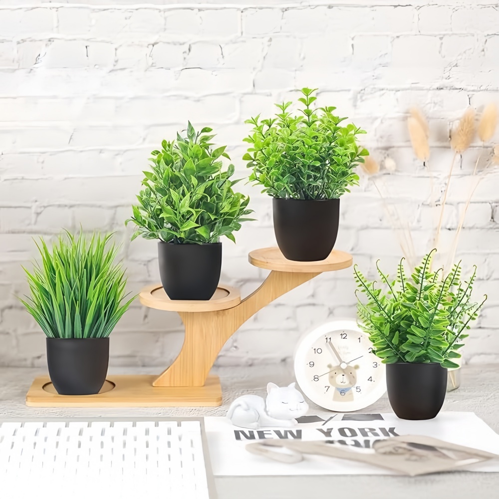 Набор из 4 миниатюрных искусст – обзор и цена Bonsai Garden Kit