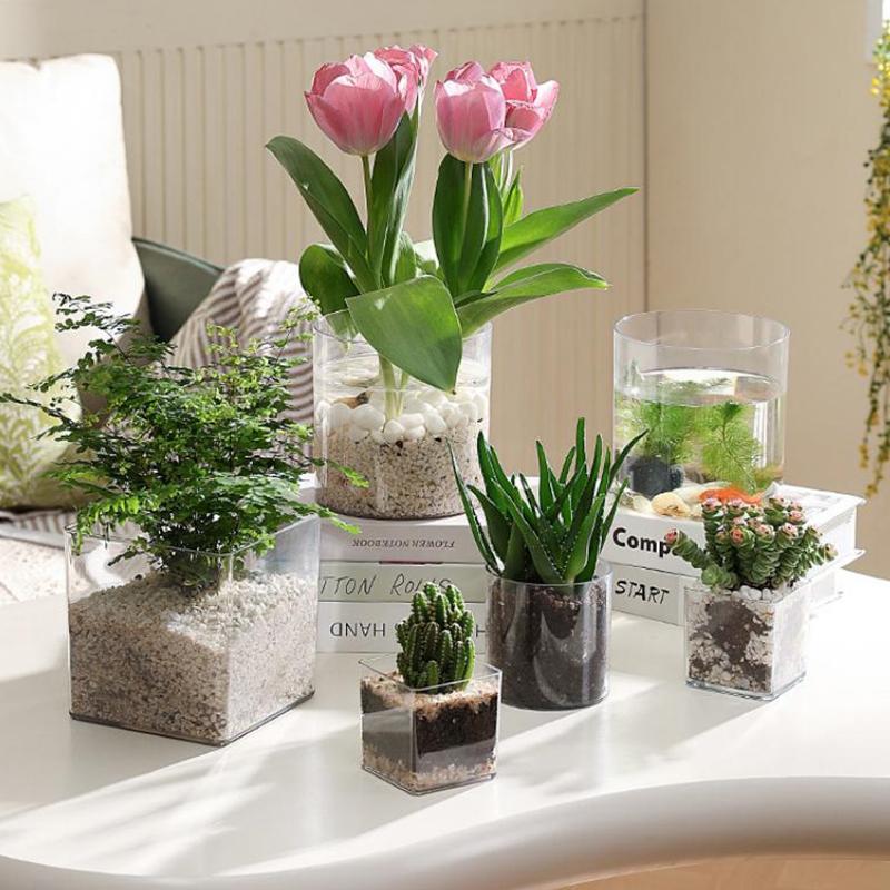 Квадратные и круглые прозрачны – обзор и цена Bonsai Garden Nursery