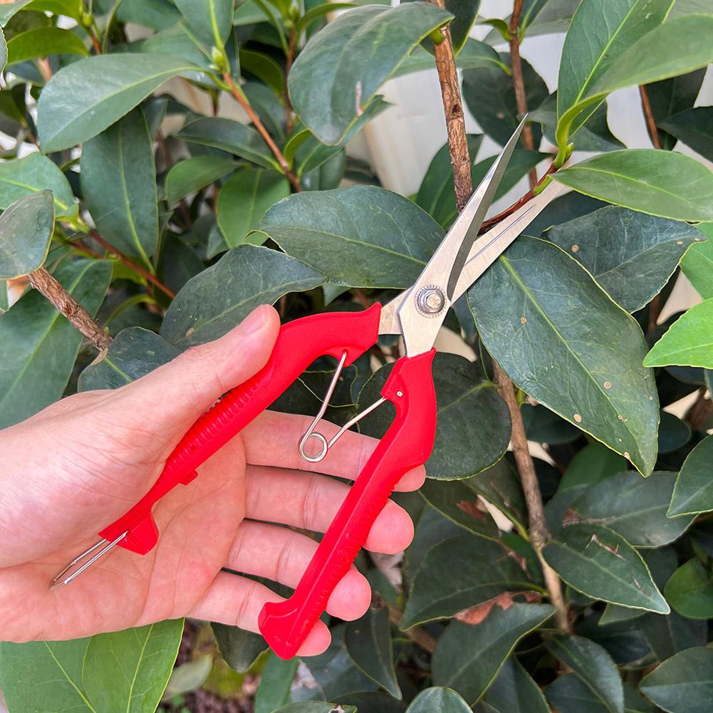 Профессиональные садовые секат – обзор и цена Bonsai Garden Tools