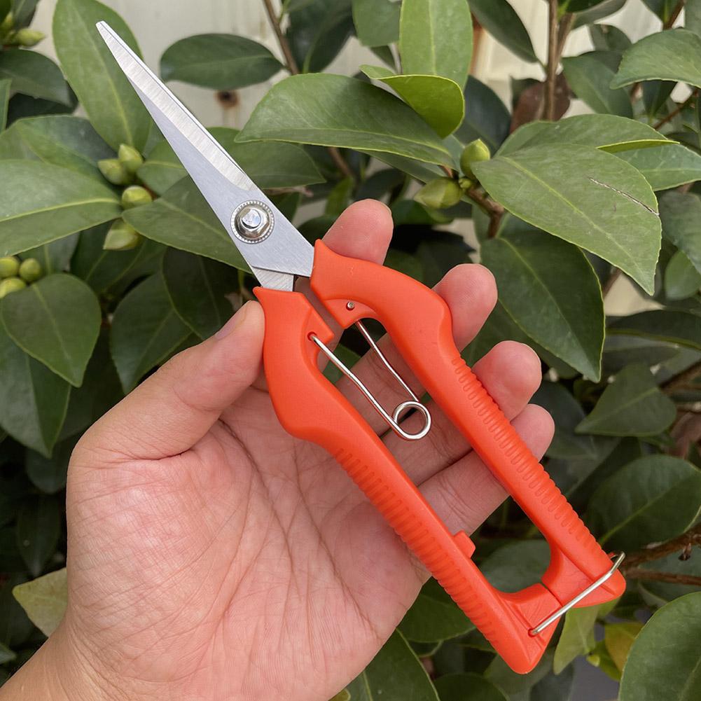 Профессиональные садовые секат – обзор и цена Bonsai Garden Tools