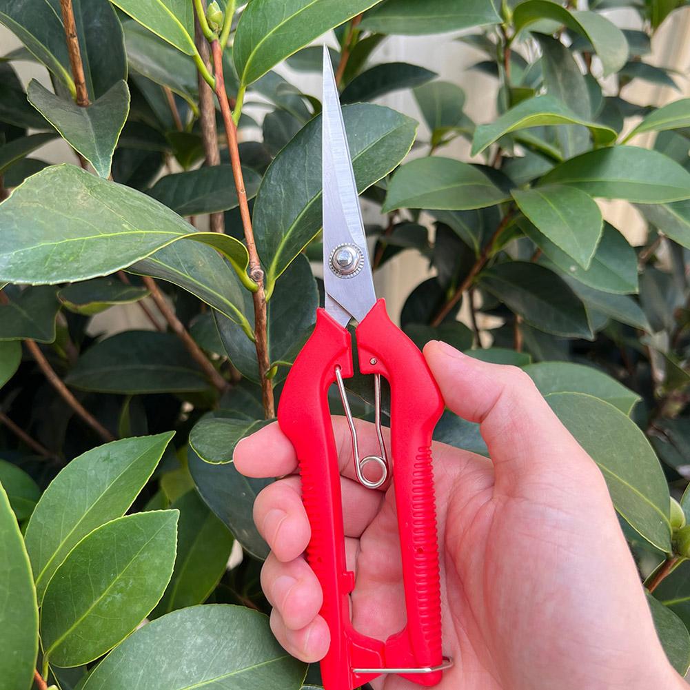 Профессиональные садовые секат – обзор и цена Bonsai Garden Tools