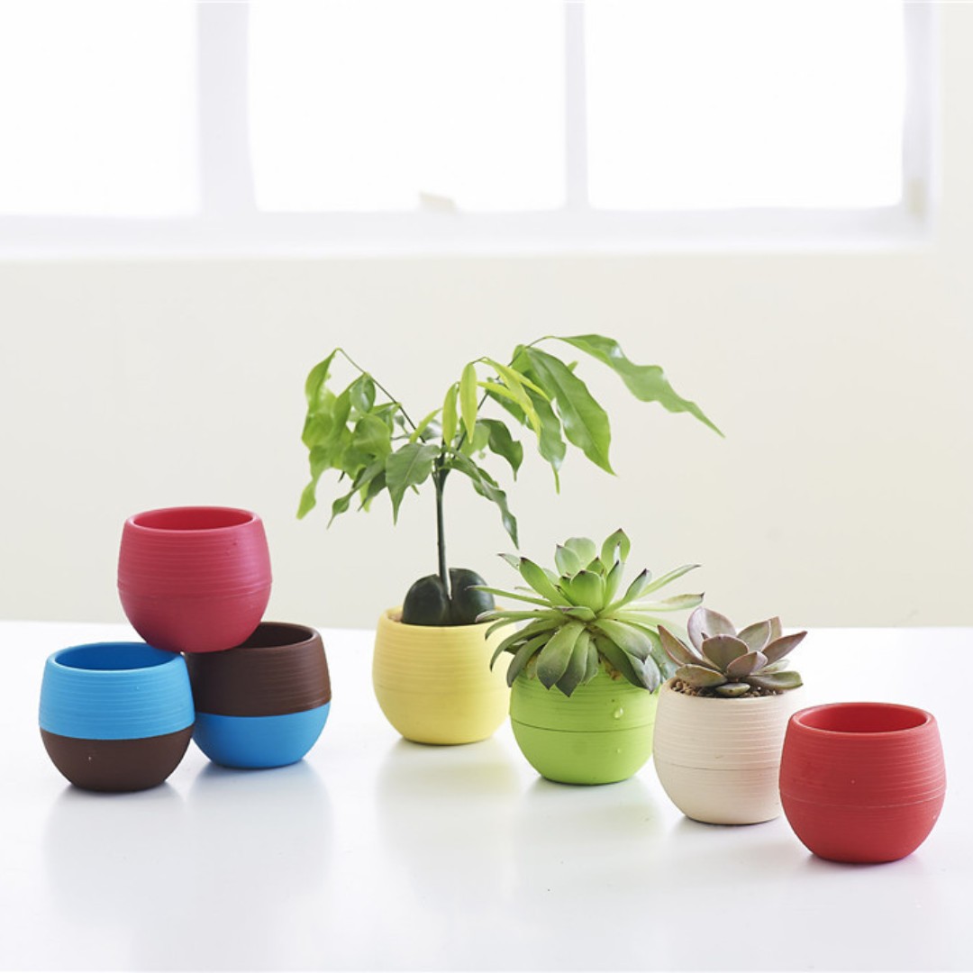 Садовые мини-пластиковые цвето – обзор и цена Bonsai Garden Nursery