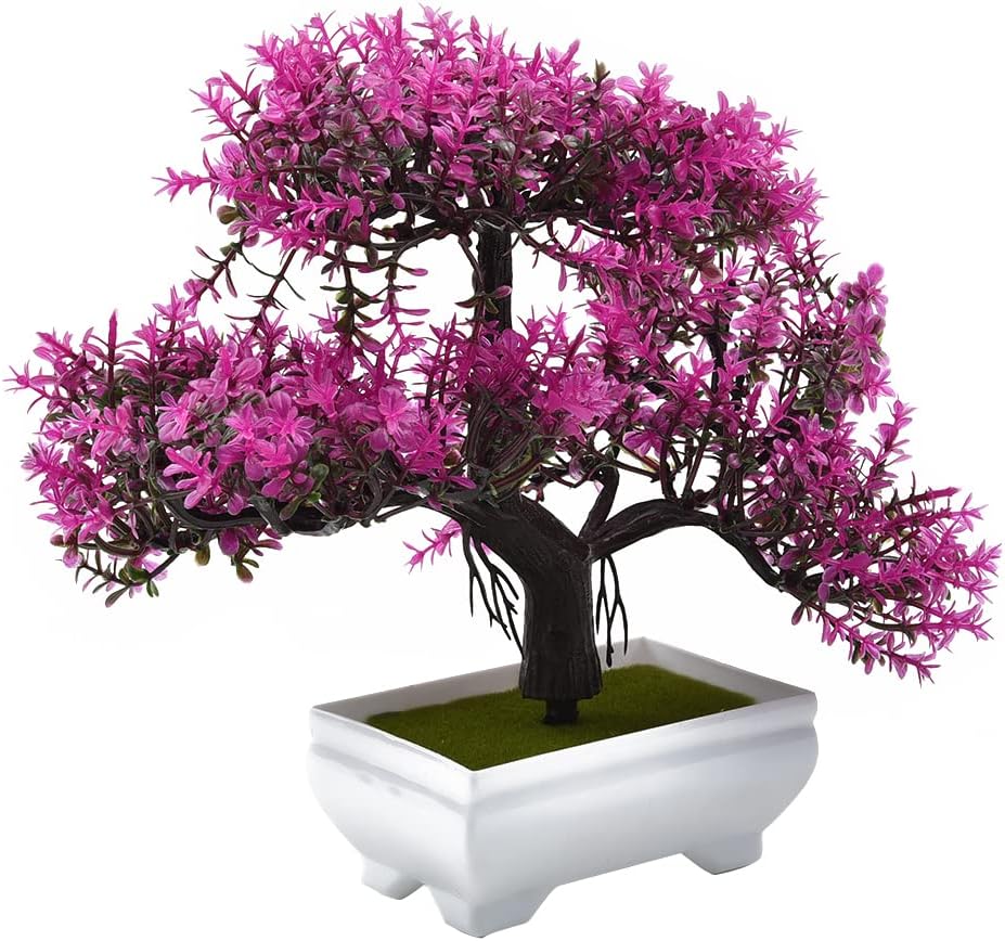 Искусственные растения, бонсай – обзор и цена Bonsai Garden Kit