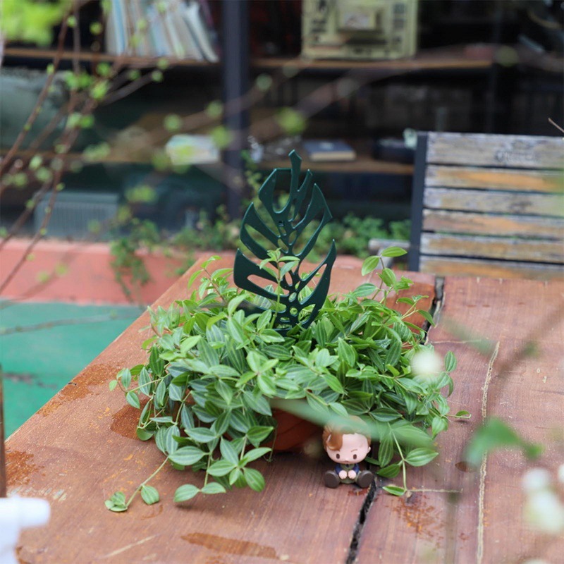 Подставка для скалолазания с р – обзор и цена Bonsai Garden Stand